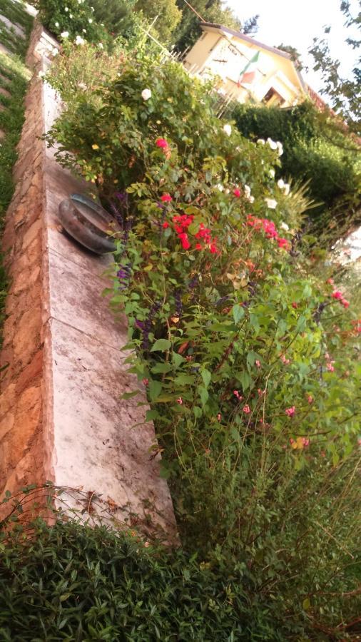 مبيت وإفطار فيتوريو فينيتو Da Caterina المظهر الخارجي الصورة
